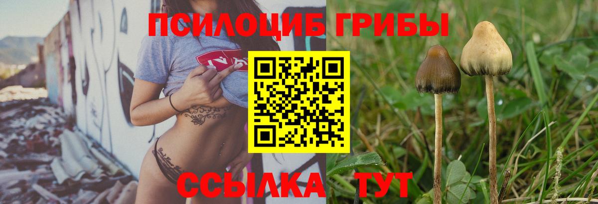 Псилоцибиновые грибы MAGIC MUSHROOMS Иваново